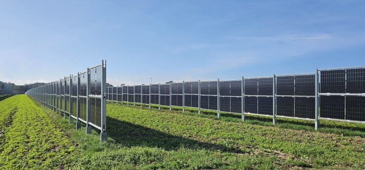 agrivoltaico