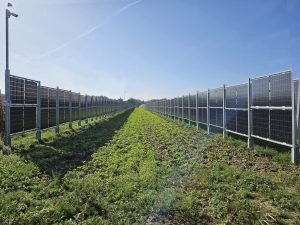 AGRIVOLTAICO